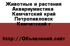 Животные и растения Аквариумистика. Камчатский край,Петропавловск-Камчатский г.